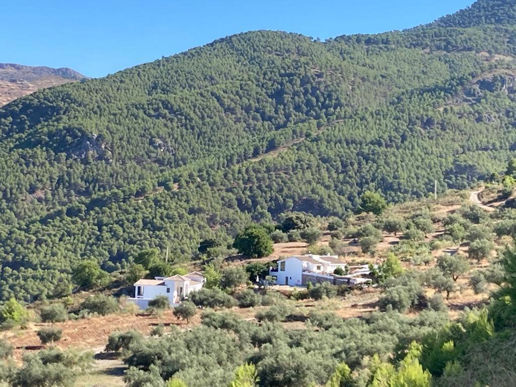 Apartamento La Fuente Alcaucín Exteriér fotografie